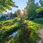 By The Creek Vaszoly