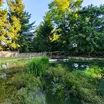 By The Creek Vaszoly