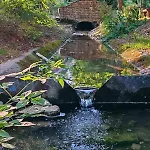 By The Creek בקתה