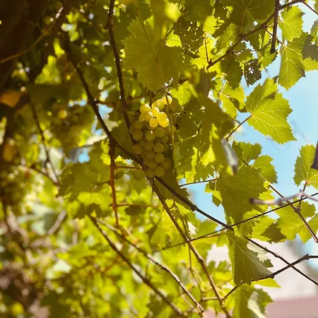 Chalé Estate By The Creek *