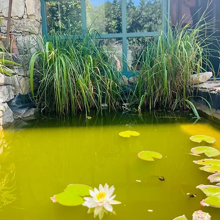 Chalé Estate By The Creek *
