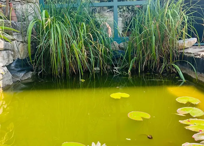 Domek alpejski By The Creek *
